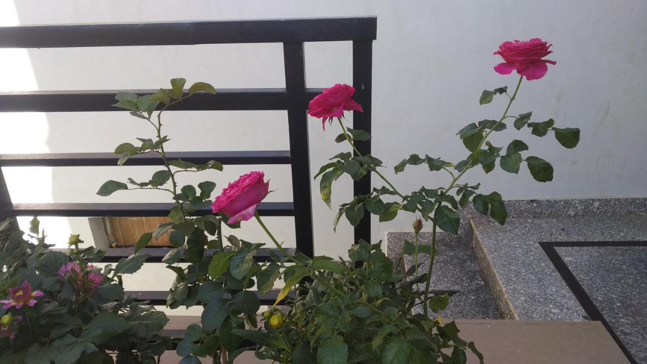 Mai Dalat Homestay Ngoại thất bức ảnh